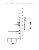 SALTS OF POTASSIUM ATP CHANNEL OPENERS AND USES THEREOF diagram and image