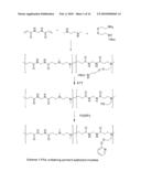 POLYMER diagram and image