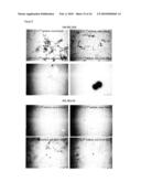 POLYMER diagram and image