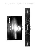 SIMULTANEOUS MULTI-ALLOY CASTING diagram and image