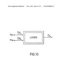 PERFUSION REGULATION diagram and image