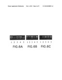 METHODS AND REAGENTS FOR PRESERVING RNA IN CELL AND TISSUE SAMPLES diagram and image