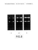 METHODS AND REAGENTS FOR PRESERVING RNA IN CELL AND TISSUE SAMPLES diagram and image