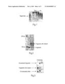 METHODS AND MEANS FOR NUCLEIC ACID SEQUENCING diagram and image