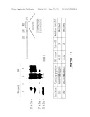 METHODS FOR DIAGNOSING OSTEOARTHRITIS diagram and image