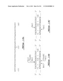 METHODS FOR DIAGNOSING OSTEOARTHRITIS diagram and image