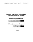 YEAST BASED EXPRESSION OF PROTEASES AND METHODS OF USE diagram and image