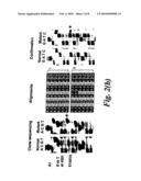 SCREENING METHODS AND SEQUENCES RELATING THERETO diagram and image