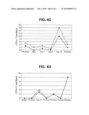 CIRCULATING TUMOR CELL ASSAY diagram and image