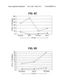 CIRCULATING TUMOR CELL ASSAY diagram and image