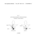 DETECTION OF CANCER CELLS IN VITRO USING SIGMA-2 RECEPTOR LIGANDS AS RADIOTRACERS diagram and image