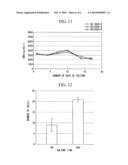 Method for culturing mesenchymal stem cell and method for producing biological tissue prosthesis diagram and image