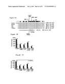 System and methods for identifying miRNA targets and for altering miRNA and target expression diagram and image