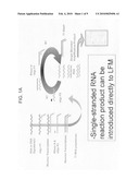 Multiplexed lateral flow microarray assay for detection of citrus pathogens Xylella fastidiosa and Xanthomonas axonopodis PV citri diagram and image