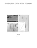 NANOCHANNEL ARRAYS AND THEIR PREPARATION AND USE FOR HIGH THROUGHPUT MACROMOLECULAR ANALYSIS diagram and image