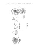 BORONIC ACID-CONTAINING BLOCK COPOLYMERS FOR CONTROLLED DRUG DELIVERY diagram and image