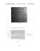 preparation method of galactosyl-has magnetic nanoparticles containing adriamycin diagram and image