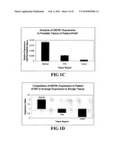 COMPOSITIONS AND METHODS FOR DIAGNOSING, TREATING, AND PREVENTING PROSTATE CONDITIONS diagram and image