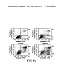 COMPOSITIONS AND METHODS FOR DIAGNOSING, TREATING, AND PREVENTING PROSTATE CONDITIONS diagram and image