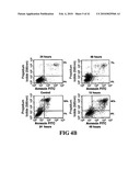 COMPOSITIONS AND METHODS FOR DIAGNOSING, TREATING, AND PREVENTING PROSTATE CONDITIONS diagram and image