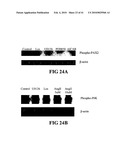 COMPOSITIONS AND METHODS FOR DIAGNOSING, TREATING, AND PREVENTING PROSTATE CONDITIONS diagram and image