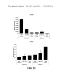 COMPOSITIONS AND METHODS FOR DIAGNOSING, TREATING, AND PREVENTING PROSTATE CONDITIONS diagram and image