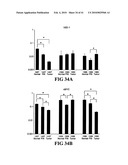 COMPOSITIONS AND METHODS FOR DIAGNOSING, TREATING, AND PREVENTING PROSTATE CONDITIONS diagram and image