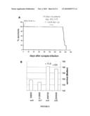 Systematic identification of new anti-prion drugs by high-throughput screening based on scanning for intensely fluorescent targets (sift) diagram and image