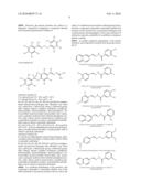 Systematic identification of new anti-prion drugs by high-throughput screening based on scanning for intensely fluorescent targets (sift) diagram and image