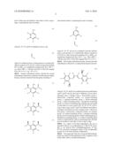 Production of isotactic and regiorandom polypropylene based polymer and block copolymers diagram and image