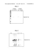  METHOD FOR PURIFYING PROTEIN diagram and image