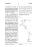 Fluorogenic compounds converted to fluorophores by photochemical or chemical means and their use in biological systems diagram and image