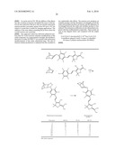 Fluorogenic compounds converted to fluorophores by photochemical or chemical means and their use in biological systems diagram and image