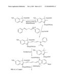 Reactive 1,3 -crosslinked carbocyanines and their bioconjugates diagram and image