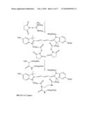 Reactive 1,3 -crosslinked carbocyanines and their bioconjugates diagram and image