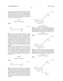 Reactive 1,3 -crosslinked carbocyanines and their bioconjugates diagram and image