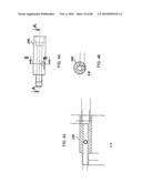 Dual Capture Device for Stent Graft Delivery System and Method for Capturing a Stent Graft diagram and image