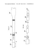 Dual Capture Device for Stent Graft Delivery System and Method for Capturing a Stent Graft diagram and image