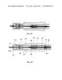 Dual Capture Device for Stent Graft Delivery System and Method for Capturing a Stent Graft diagram and image