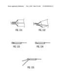 Dual Capture Device for Stent Graft Delivery System and Method for Capturing a Stent Graft diagram and image