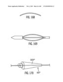 Dual Capture Device for Stent Graft Delivery System and Method for Capturing a Stent Graft diagram and image