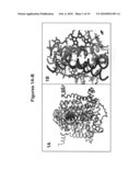 PHOTOSYNTHETICORGANISMS AND COMPOSITIONS AND METHODS OF GENERATING SAME diagram and image