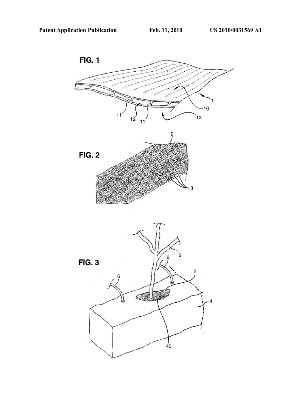 USE OF HERBACEOUS AQUATIC PLANTS AS SOILLESS CULTURE MEDIUM AND MEDIUM SO FORMED - diagram, schematic, and image 02