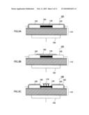 Carbon Nanotube Electric Field Effect Transistor and Process for Producing the Same diagram and image