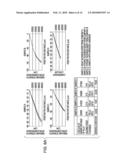 Stereoscopic image display and method for producing the same diagram and image