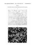 Continuous imaging of nucleic acids diagram and image