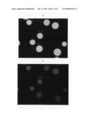 Continuous imaging of nucleic acids diagram and image