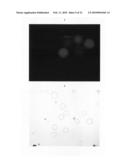 Continuous imaging of nucleic acids diagram and image