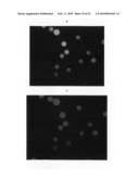 Continuous imaging of nucleic acids diagram and image