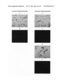 Continuous imaging of nucleic acids diagram and image